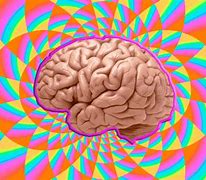 Image result for Electric Mind GIF
