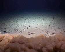 Image result for Seabed Nodules