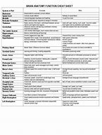 Image result for Brain Diagram Cheat Sheet