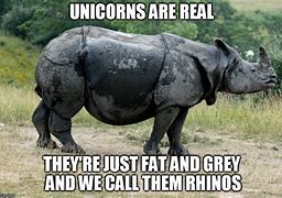 Image result for Rhinoceros Unicorn Meme