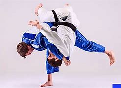 Image result for Brazilian Jiu Jitsu Takedowns