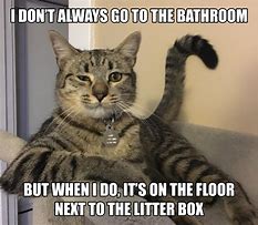 Image result for Cat Litter Box Meme