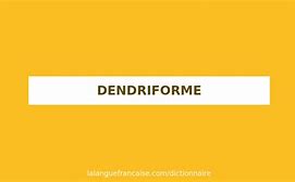 Image result for dendriforme