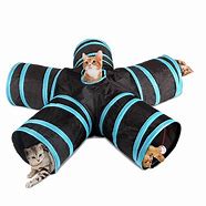 Image result for Cat Tunnel Toy