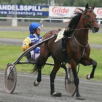 Image result for Harness Handicapping