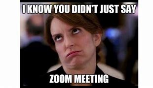 Image result for Pretending You Are in Zoom Memes