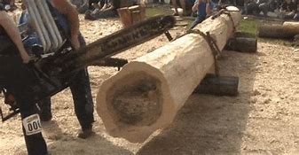 Image result for Biggest Chainsaw