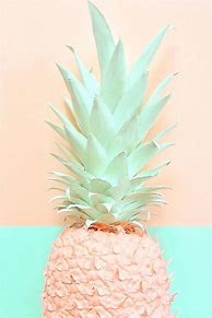 Image result for Simple Aesthetic Pineapple