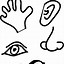 Image result for Five Senses Coloring Pages Printable