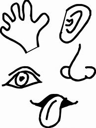 Image result for Five Senses Eyes