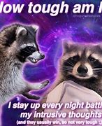 Image result for Tired Raccoon Meme