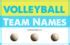 Image result for Great Volleyball Team Names