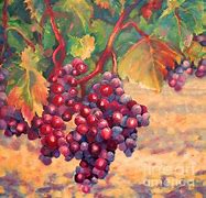 Image result for Cabernet Sauvignon Grape Vine