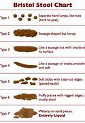 Image result for Different Bowel Movements