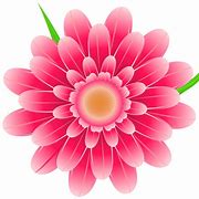 Image result for Flowers with Pink Background Clip Art