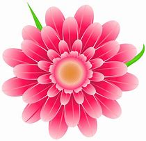Image result for Beautiful Flowers Without Background