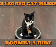 Image result for Runaway Roomba Meme
