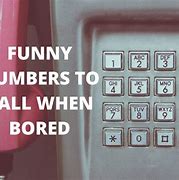 Image result for Paper Phone Number Signs Funny