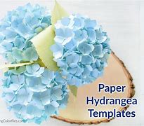 Image result for Hydrangea Flower Petal Template