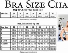 Image result for How to Measure the Bra If Medium Means Which Size