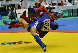 Image result for Combat Sambo