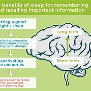 Image result for Role of Sleep in Memory