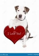 Image result for Corazon Dog