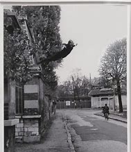 Image result for Yves Klein Leap into the Void