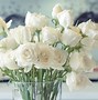 Image result for galaxy roses draw