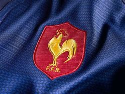 Image result for Coq Foot France