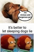 Image result for Lying Dog Meme