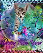 Image result for Happy New Year Cat Funny