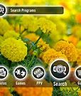 Image result for Cute Aesthetictv Screen Layout