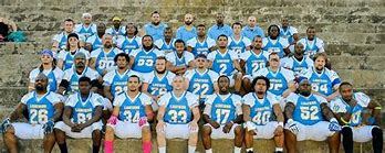 Image result for Minor League Football