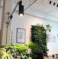 Image result for Living Plant Wall Lighting