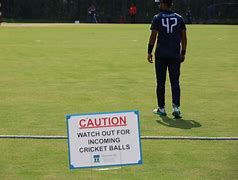 Image result for UK Cricket Sign