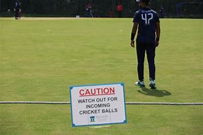 Image result for Vintage Cricket Sign