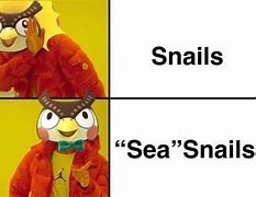 Image result for Blathers Meme