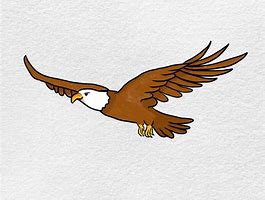 Image result for Eagle Wing Drawing