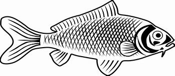 Image result for Fish Clip Art BW