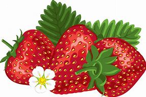 Image result for Strawberry Clip Art Vector