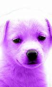 Image result for Cute Purple