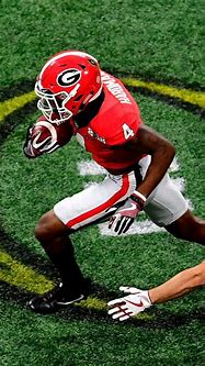 Image result for Go Dawgs Football