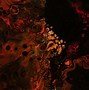Image result for Teal Liquid Wallpaper