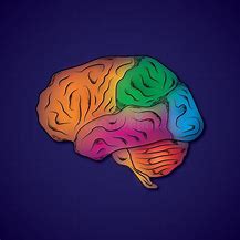 Image result for Human Brain Art