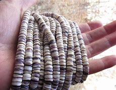 Image result for Quahog Clam Beads