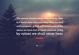 Image result for Henry Beston Animals Quote