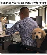 Image result for Work From Home Animal Meme