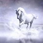Image result for White Horse Wallpaper for PC