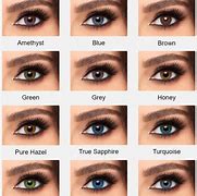 Image result for Different Brands of Contact Lenses